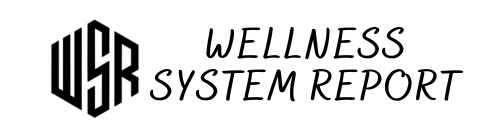 Wellness System Report